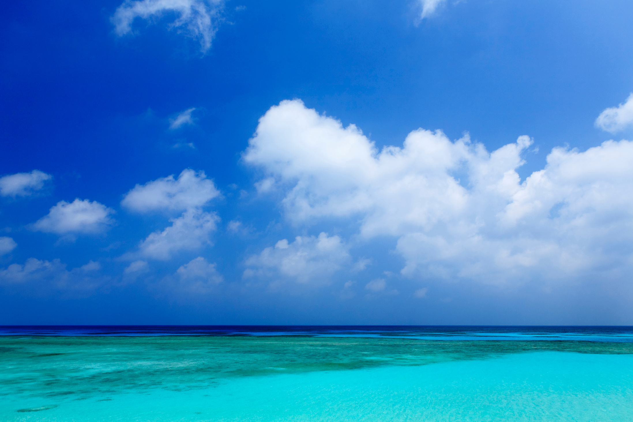 Coral Beach